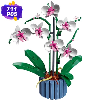 Букет от орхидеи 10311, Определени за създаване на растителен декор за възрастни; Създаване на декорация за орхидеи за дома или офиса